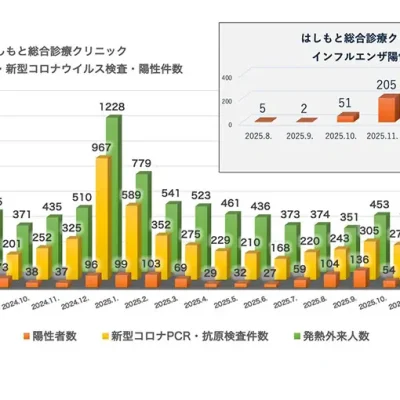 発熱外来診療・検査・陽性件数(2024.6~2026.1)はしもと総合診療クリニック