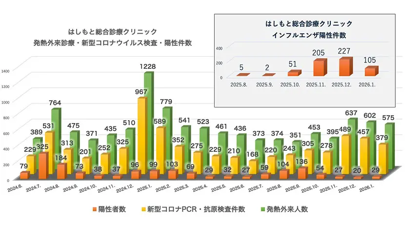 発熱外来診療・検査・陽性件数（2024.6～2026.1）はしもと総合診療クリニック