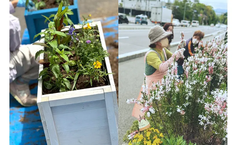 「ちぃちかけん」園芸部の活動を開催しました（2026.4.25）はしもと総合診療クリニック